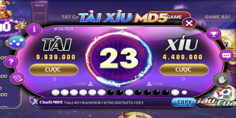 Tiến hành đặt cược vào game Tài Xỉu MD5