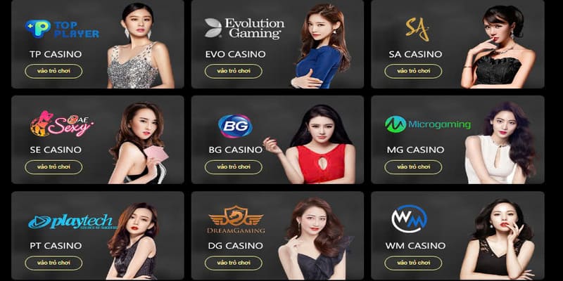 Các đối tác uy tín tại Live Casino King88